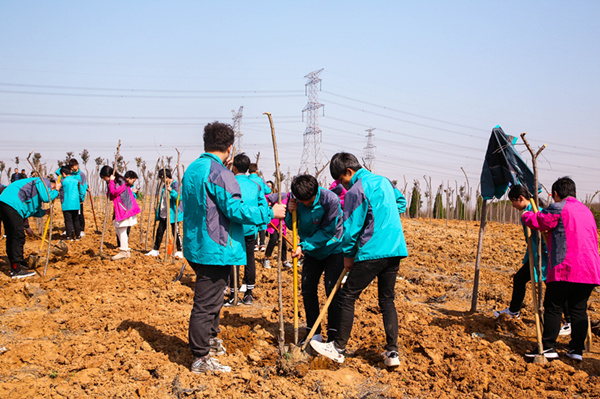 “攜手植樹(shù)，共創(chuàng)藍(lán)天”丨南京新華師生共筑新華育才林