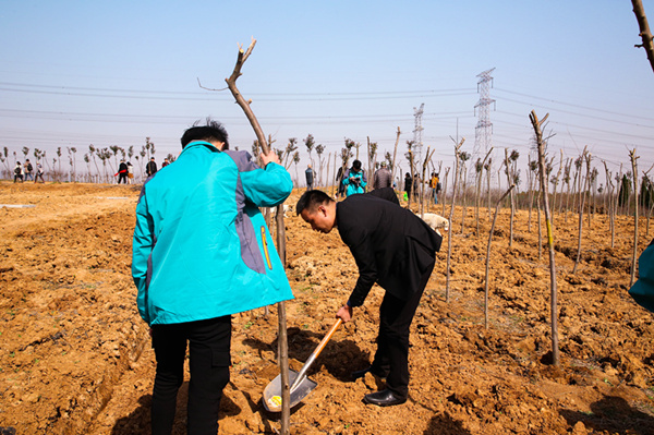 “攜手植樹(shù)，共創(chuàng)藍(lán)天”丨南京新華師生共筑新華育才林