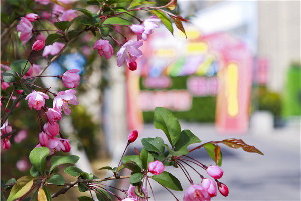 春暖花開(kāi)，等你歸來(lái)——邀你云賞南新春景，以慰思念