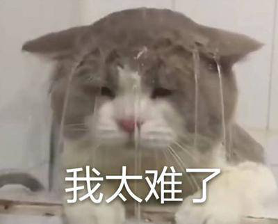 勁爆！新華電腦教育服務(wù)旗艦店正式入駐天貓，課程1折秒殺！