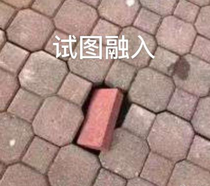 新華互聯(lián)網(wǎng)科技正式入駐Bilibili！會摩擦出什么樣火花呢？